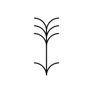 מחיקת חובות (2)